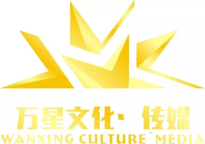 临沂万星文化传媒有限公司