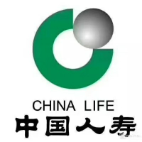 中国人寿保险股份有限公司沈阳市分公司国寿中心部