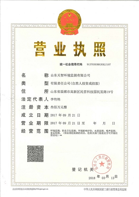 山东天智环境监测有限公司