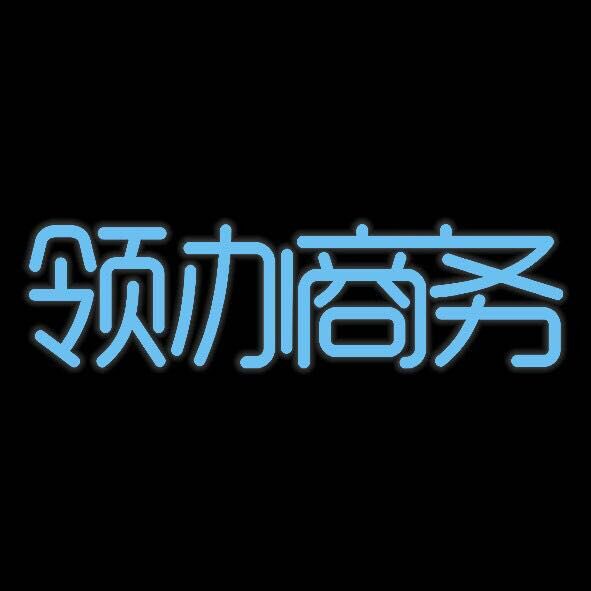 沈阳领办科技有限公司