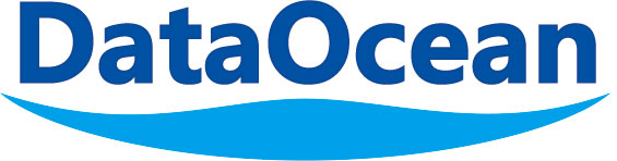 北京数洋智慧科技有限公司