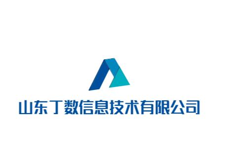 山东丁数信息技术有限公司