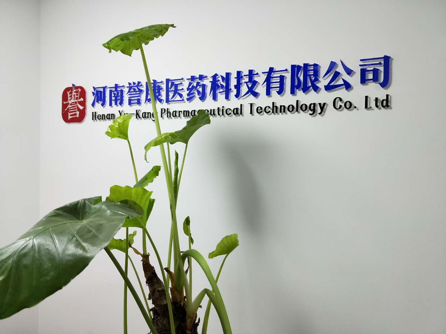 河南誉康医药科技有限公司