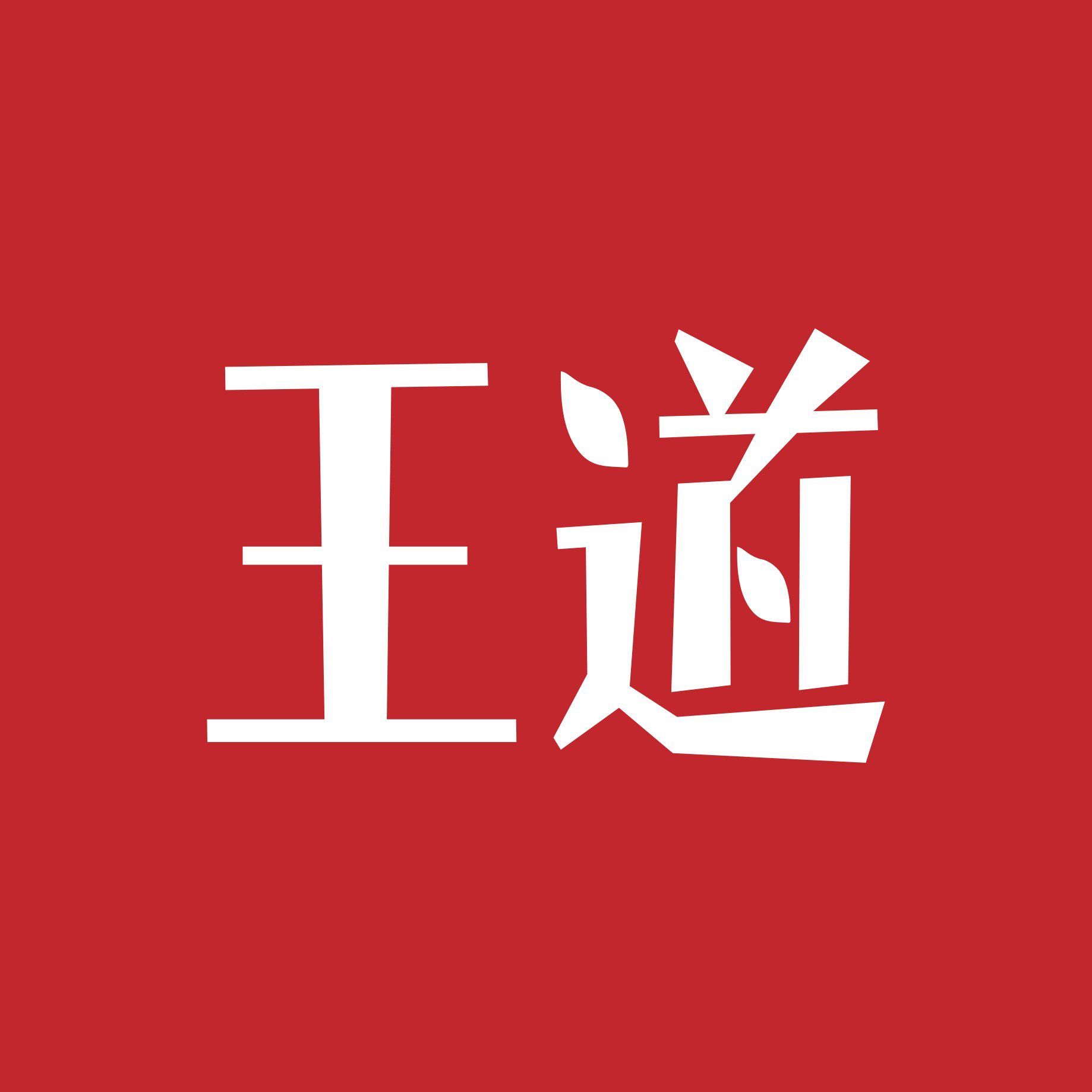 杭州王道控股有限公司