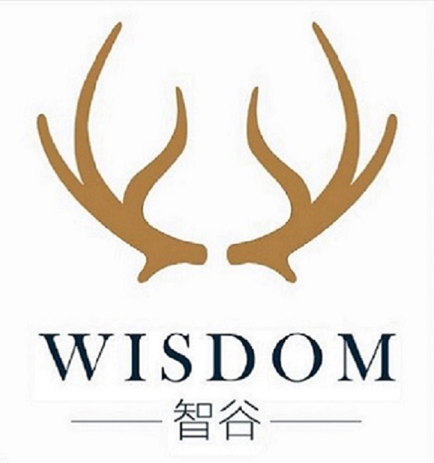 宣城智谷软件服务产业园有限公司