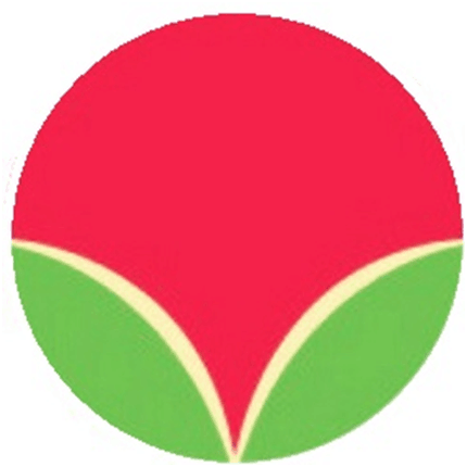 南宁市江南区五一路亚欧之星幼儿园