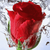 安徽锐傲建筑工程有限公司