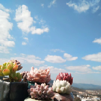 昆明军驰物流有限公司