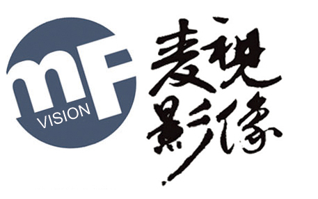 上海迈视文化传媒有限公司