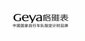 深圳市格雅表业有限公司