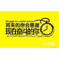 广州市永向前轮胎有限公司