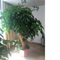 云南九泽酒店开发管理有限公司