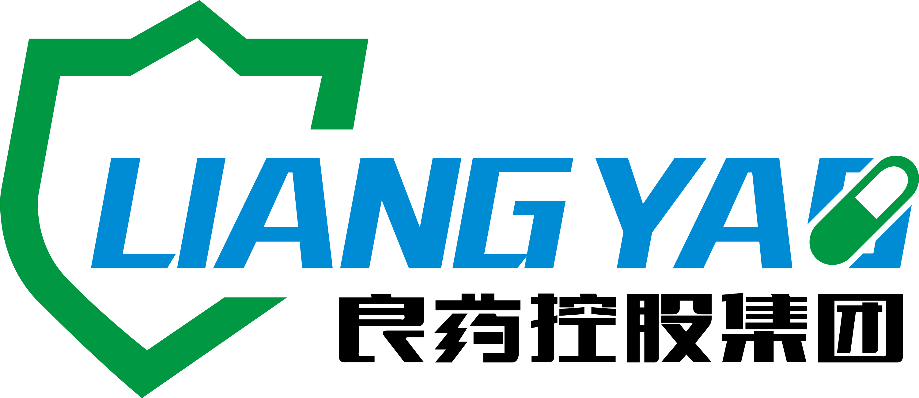 良药控股集团江苏有限公司