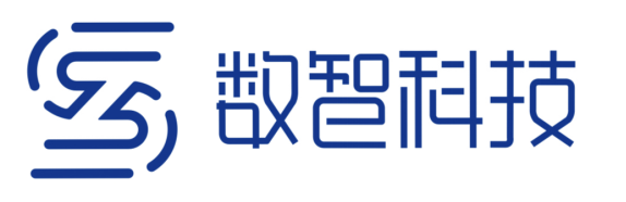 广州数智网络科技有限公司