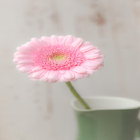 成都路路通科技有限公司