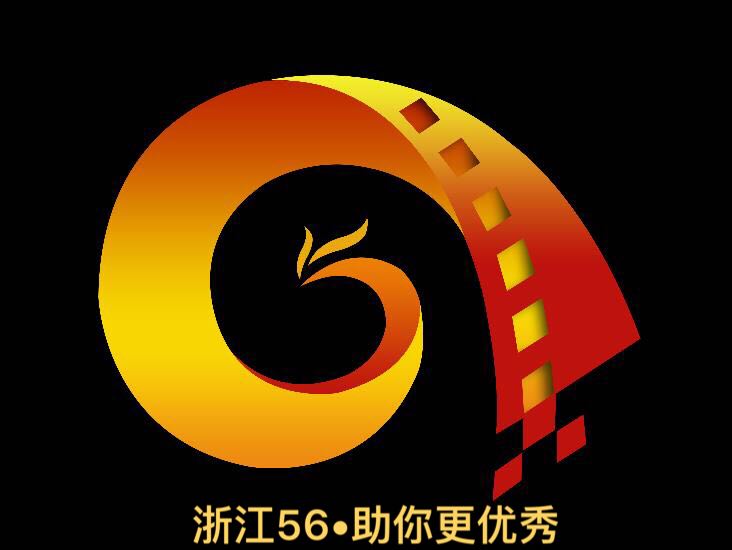 杭州载溪网络科技有限责任公司