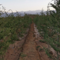 陕西林士和机电设备有限公司