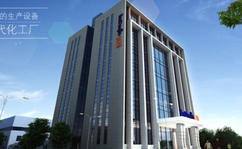 重庆砺志商贸有限公司