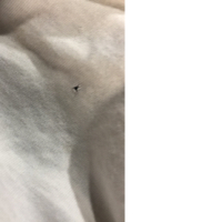 陕西白小白生物科技有限公司