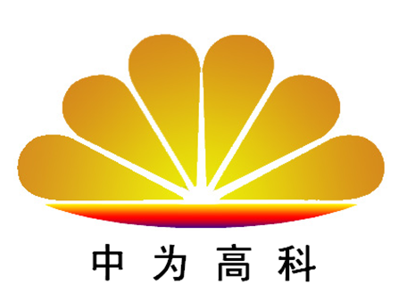 武汉中为高科新能源有限公司
