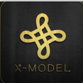 四川星榜样教育咨询有限公司