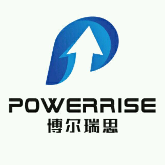 博尔瑞思(天津)科技有限公司