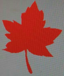 长春市五枫寄卖有限公司