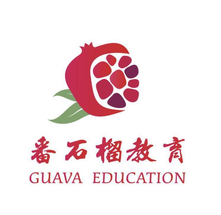 新疆番石榴教育科技有限公司