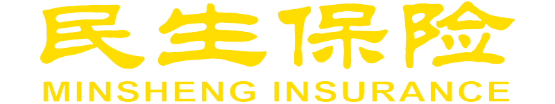 民生人寿保险股份有限公司合肥中心支公司