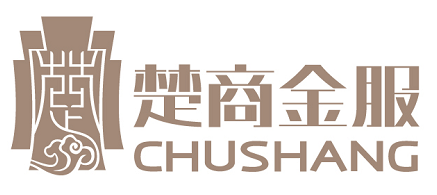 湖北楚商联盟金融信息服务有限公司