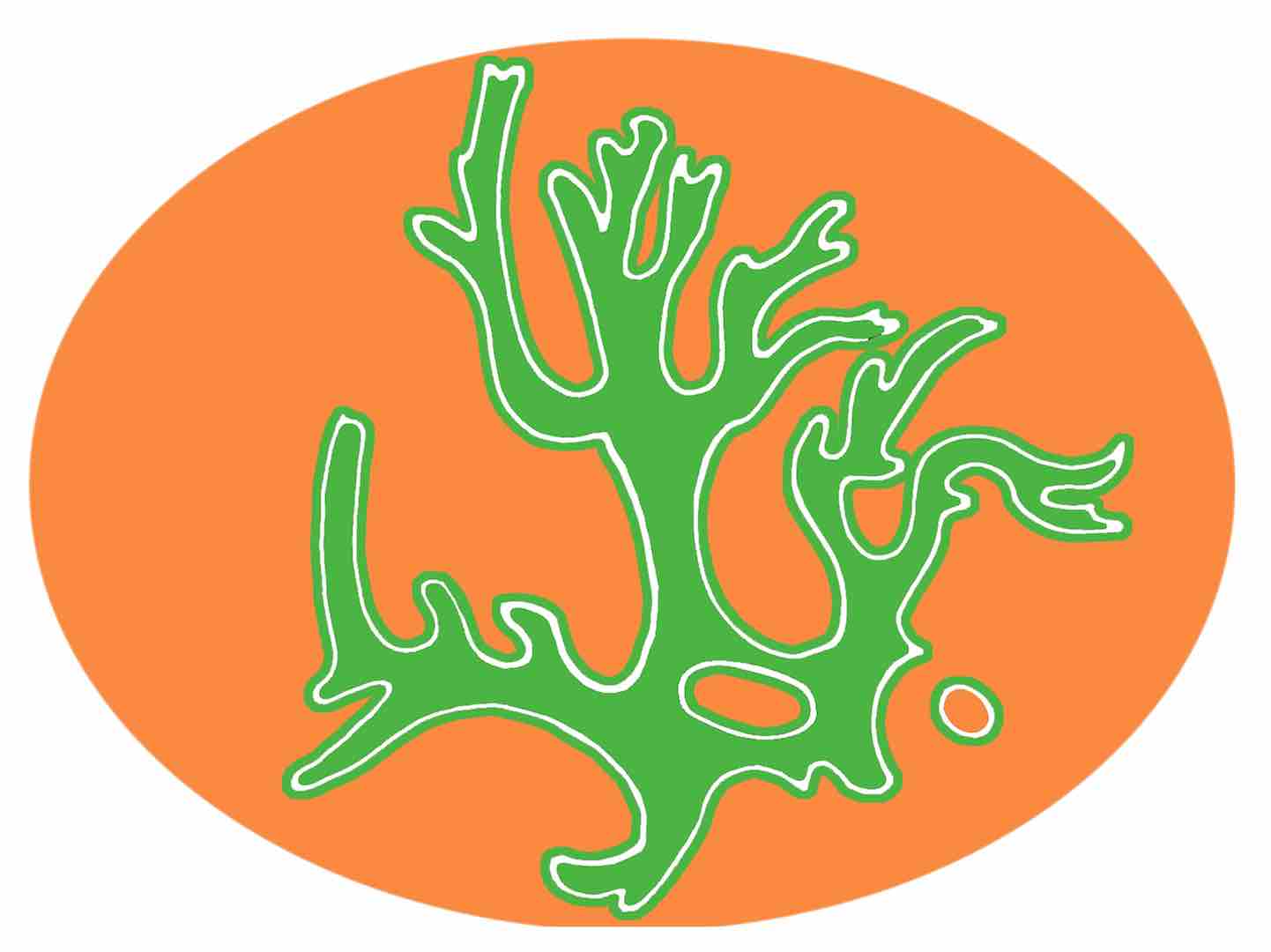 璞晞(广州)生物免疫技术有限公司