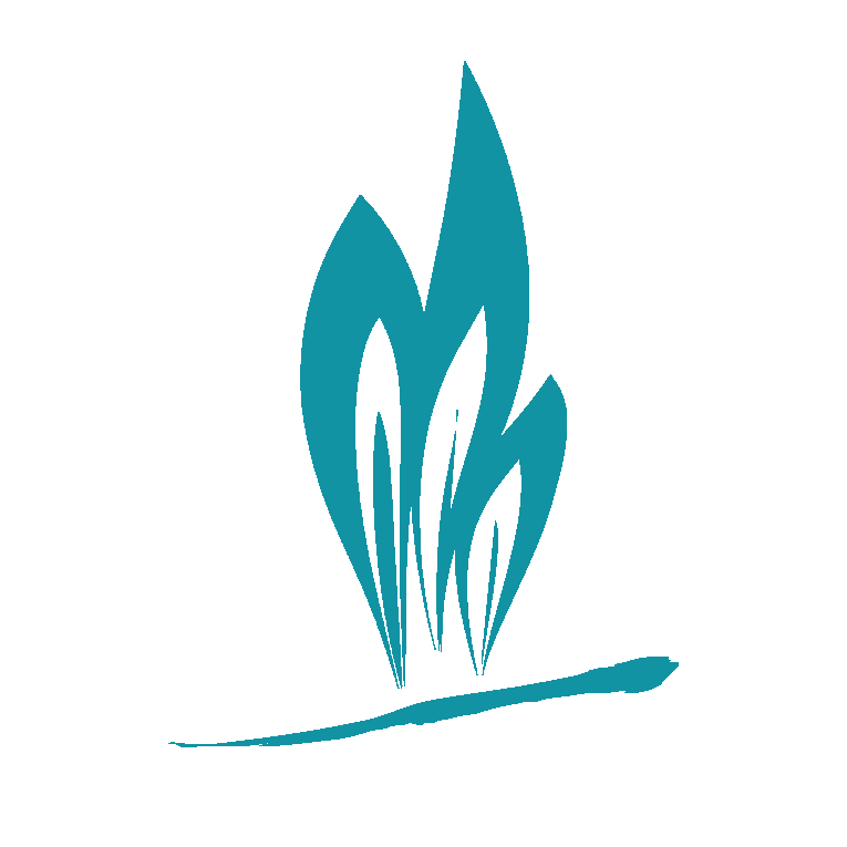 因特联华软件（深圳）有限公司