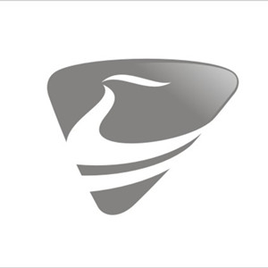 深圳市崇晸实业有限公司