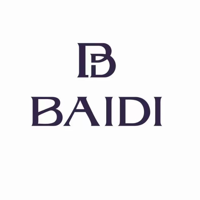 深圳市百迪表业有限公司