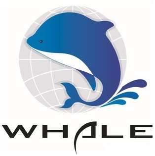 宁波大鲸国际物流有限公司