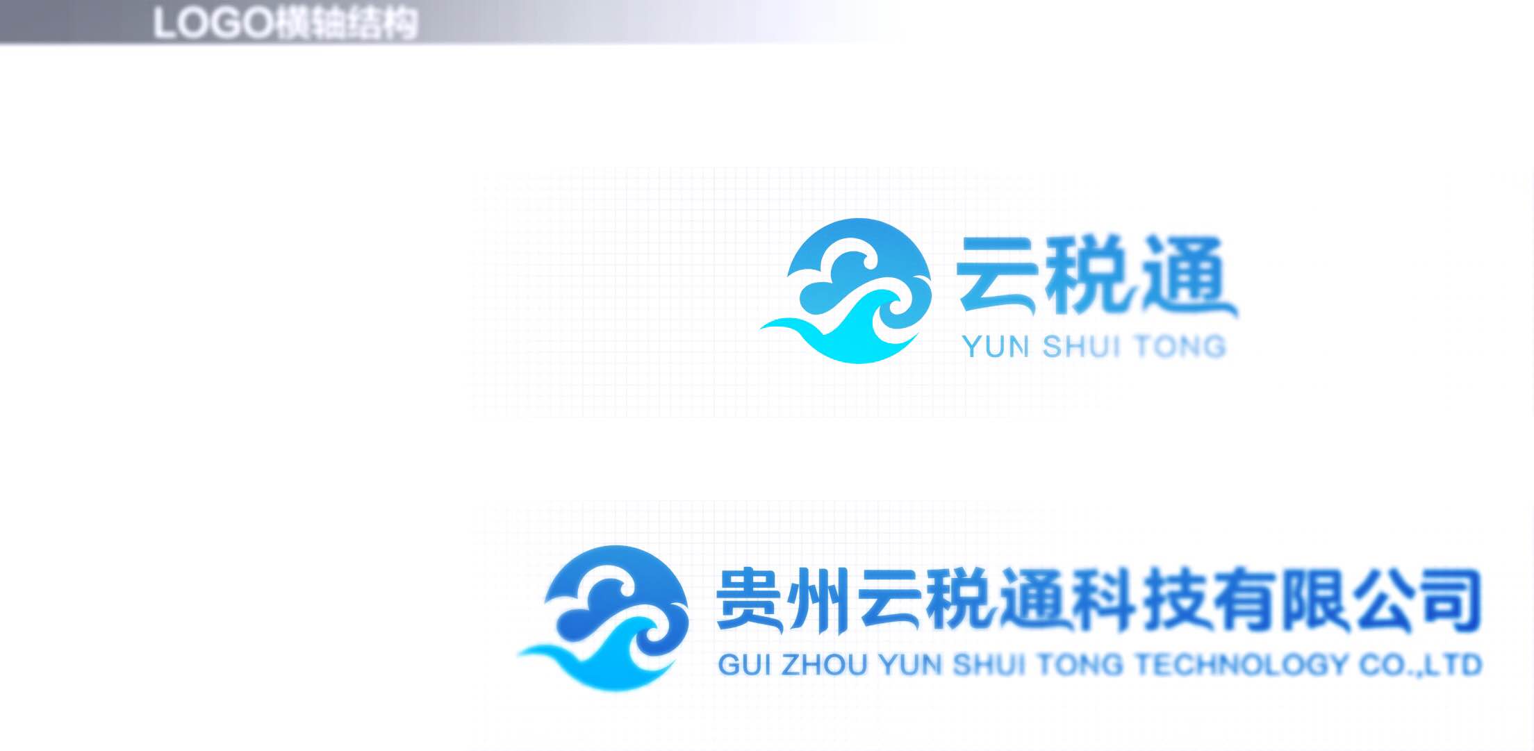 贵州云税通科技有限公司