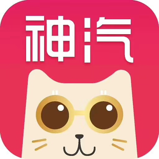 浙江神汽电子商务有限公司