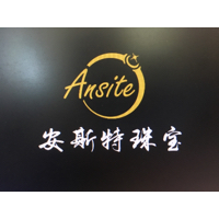 深圳市安斯特珠宝有限公司