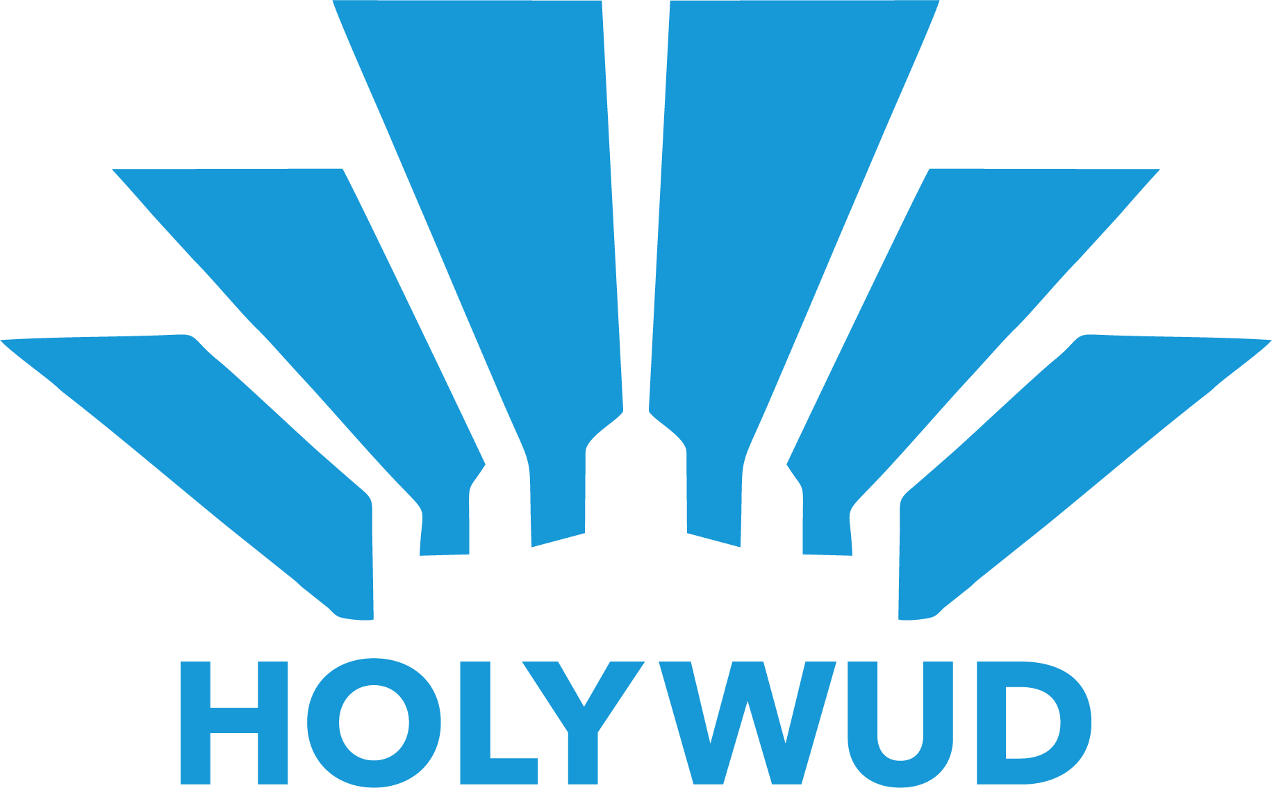 深圳市荷里沃科技有限公司