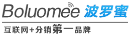 山东波罗蜜信息科技有限公司