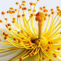 四川天空浩宇文化传媒有限公司