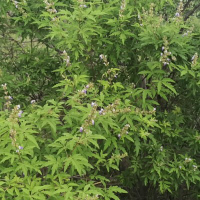 吉林省泽盛科技有限公司