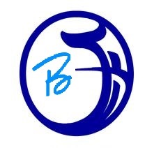 上海博舟汽车电子有限公司