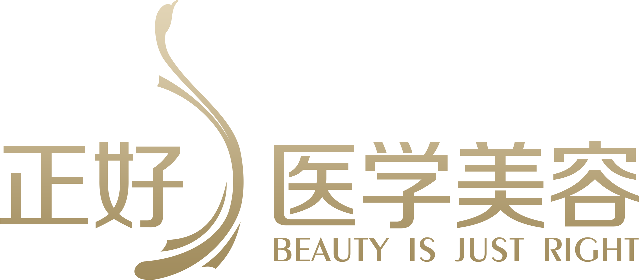 成都正好医学美容门诊部有限公司