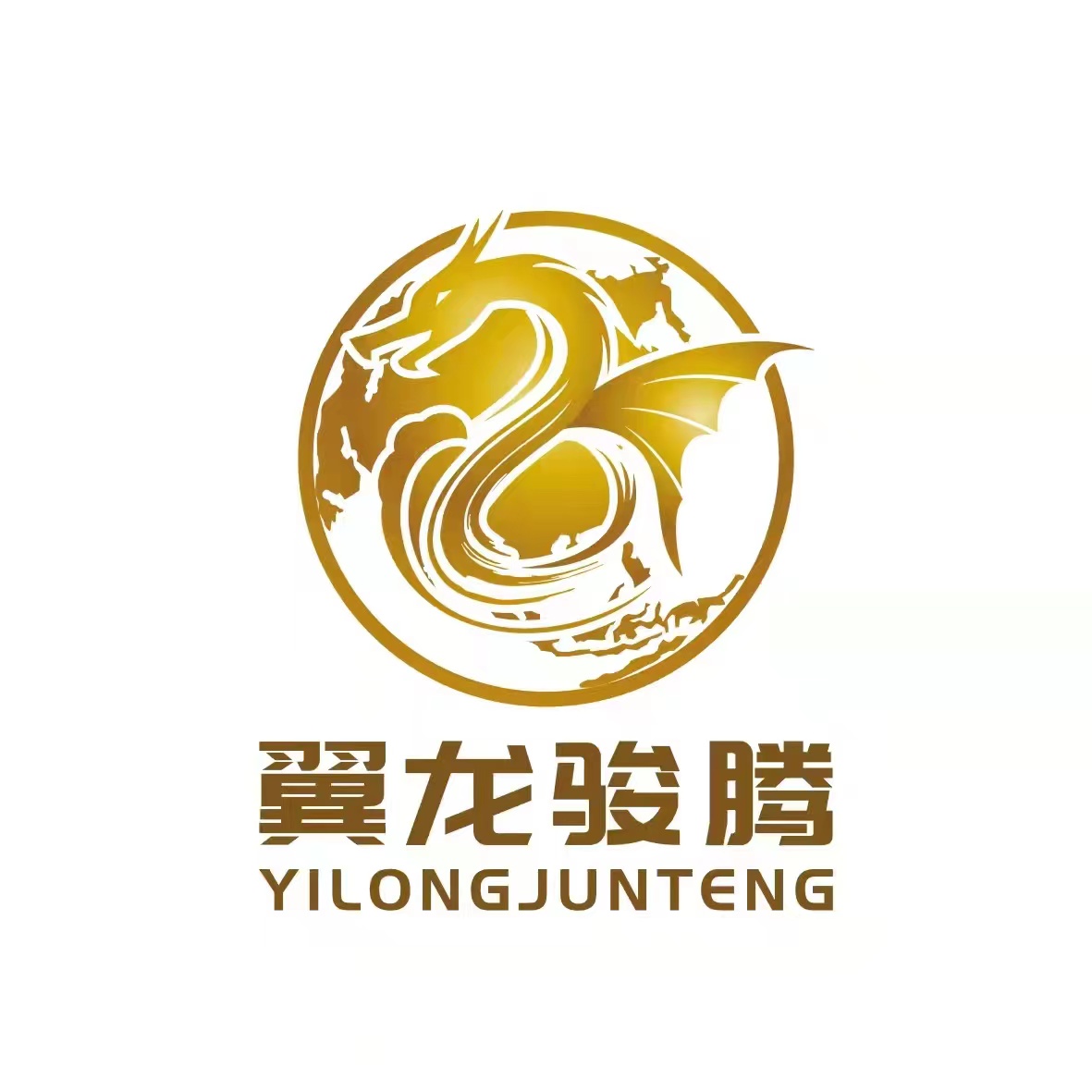 深圳市翼龙骏腾跨境物流有限公司