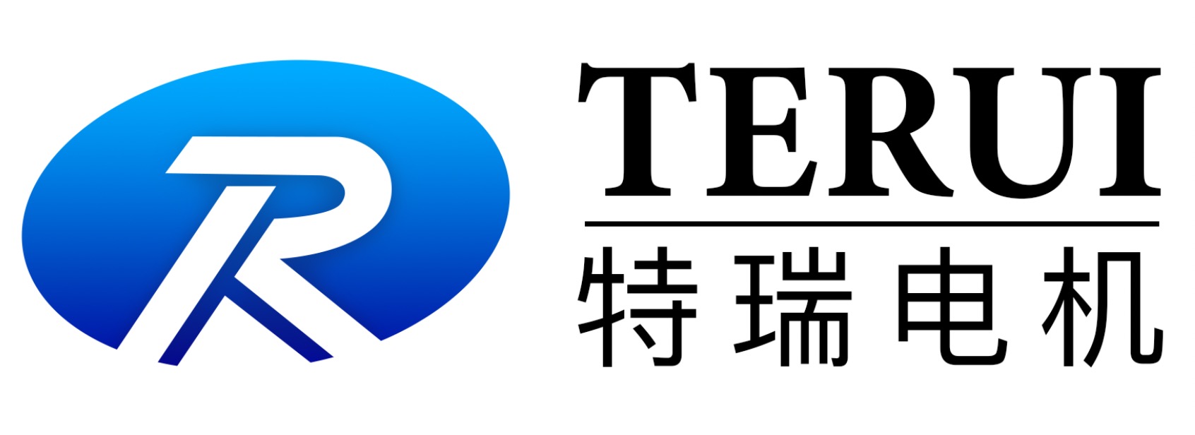 珠海特瑞电机制造有限公司