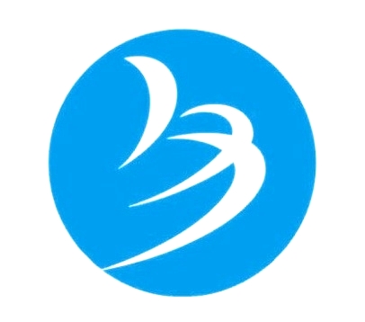 广西白莹科技集团有限公司