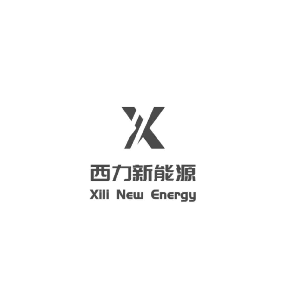 山东西力新能源有限责任公司