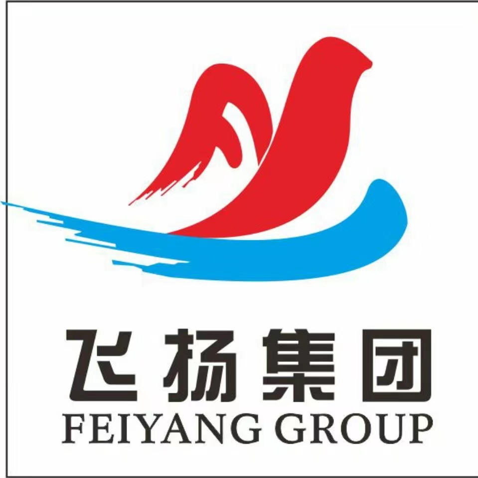 蕉岭县飞扬机电有限公司