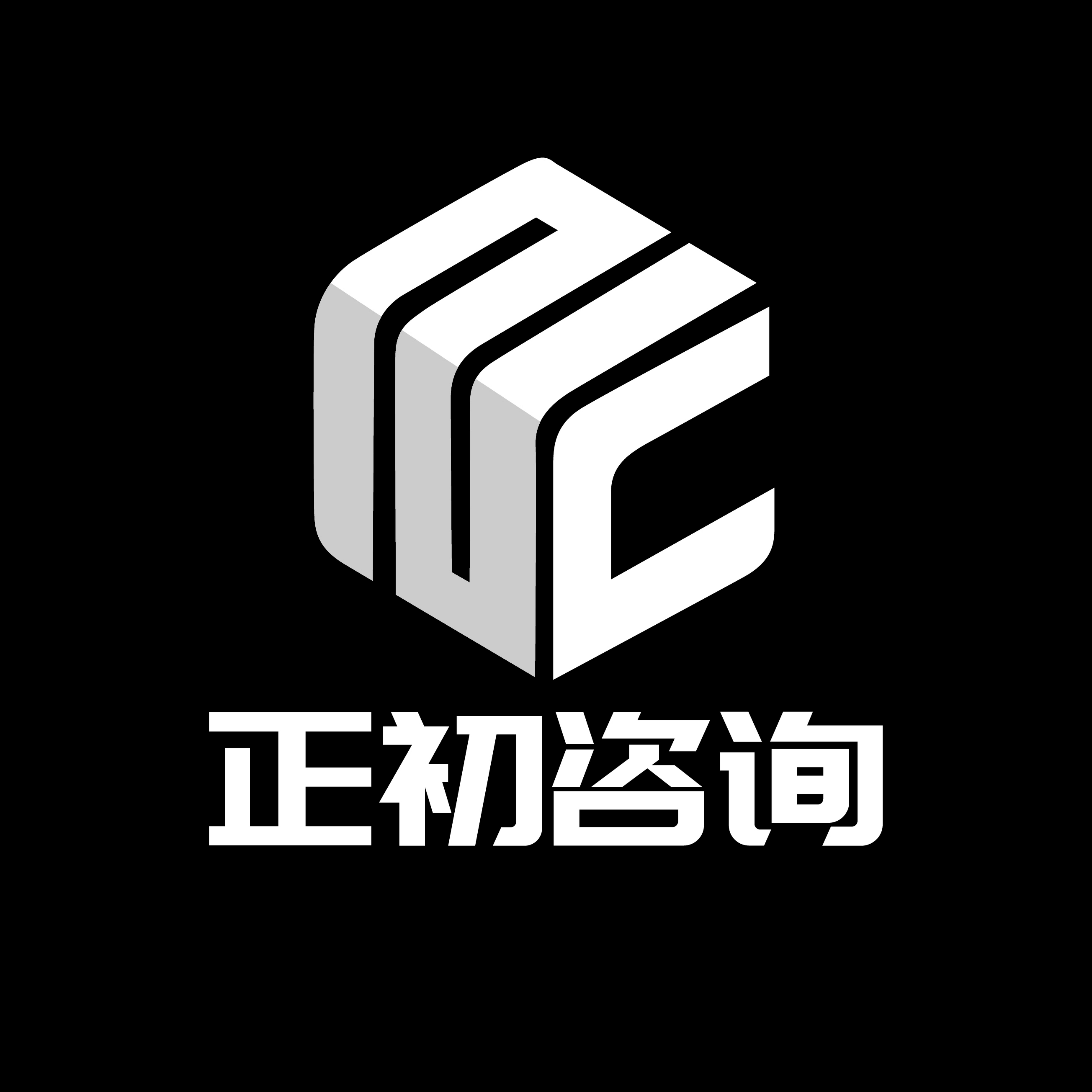 公司Logo
